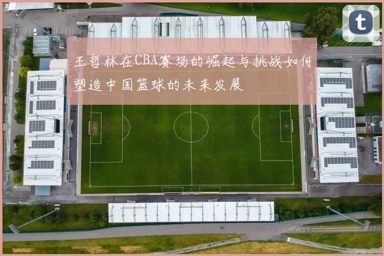 王哲林在CBA赛场的崛起与挑战如何塑造中国篮球的未来发展