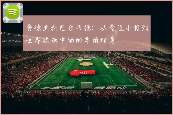 费德里科巴尔韦德：从青涩小将到世界顶级中场的华丽转身