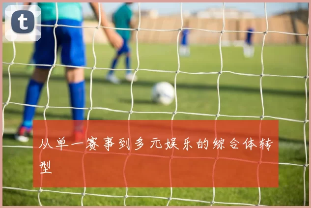 从单一赛事到多元娱乐的综合体转型