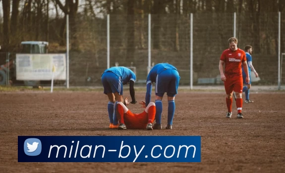 米兰milan平台生态图